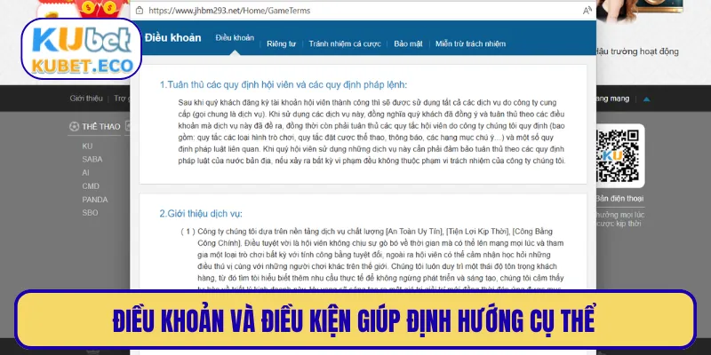 Điều khoản và điều kiện giúp định hướng cụ thể